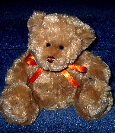 brady bear